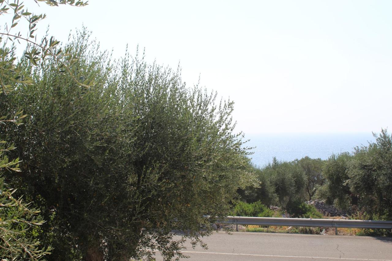 Amoru Bed & Breakfast Castro  Dış mekan fotoğraf