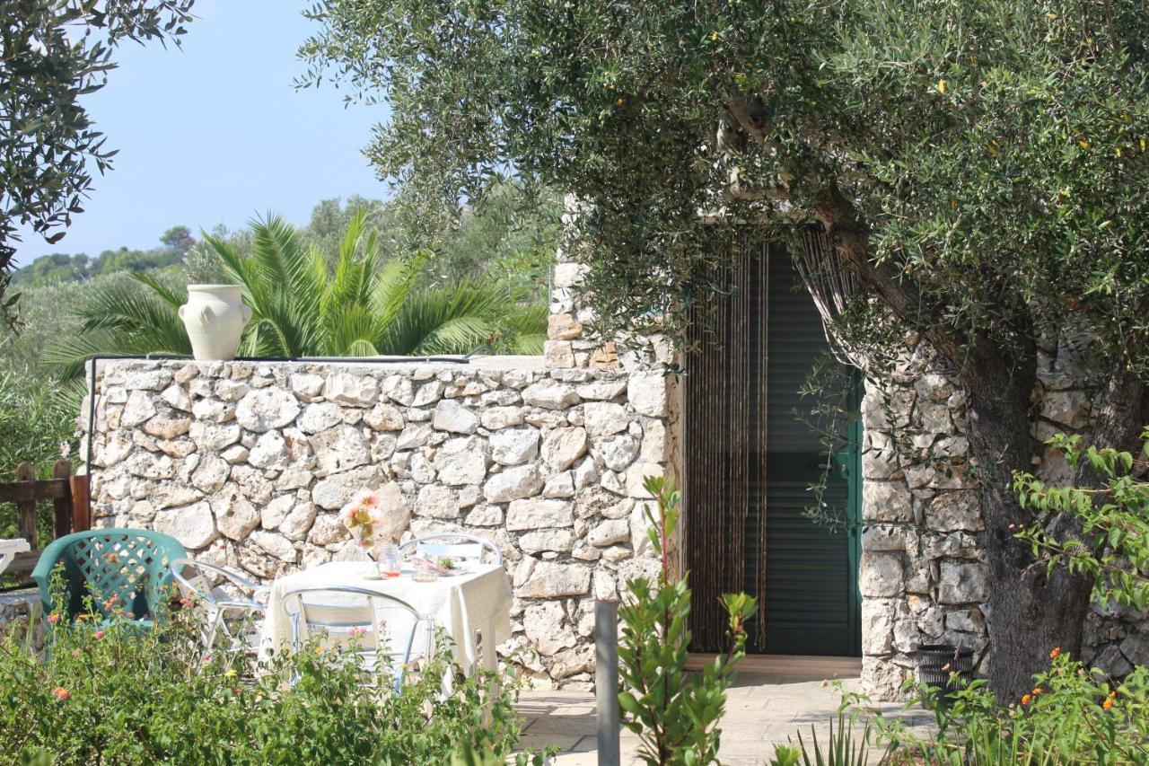 Amoru Bed & Breakfast Castro  Dış mekan fotoğraf
