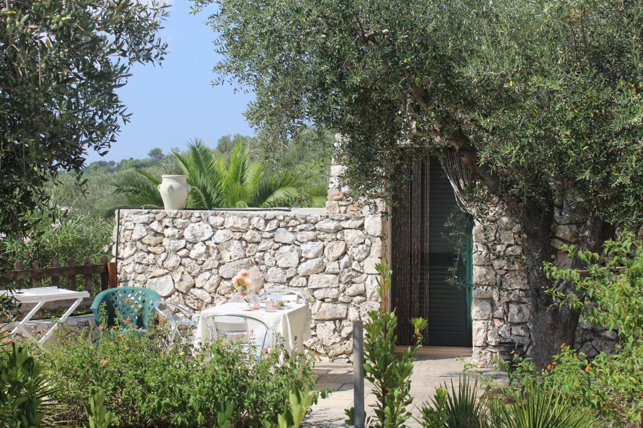 Amoru Bed & Breakfast Castro  Dış mekan fotoğraf