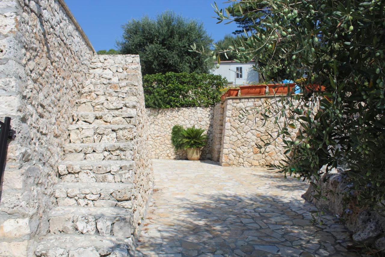 Amoru Bed & Breakfast Castro  Dış mekan fotoğraf